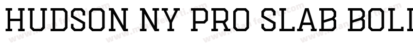 Hudson NY Pro Slab Bold字体转换